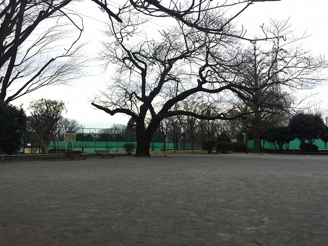 コートハウス上野毛　周辺環境