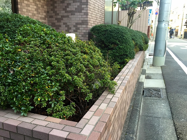 クレッセント池尻大橋　植栽