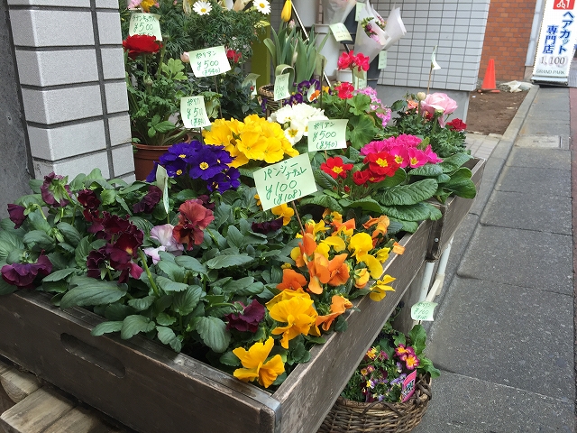 ガーデンコート世田谷赤堤　周辺環境