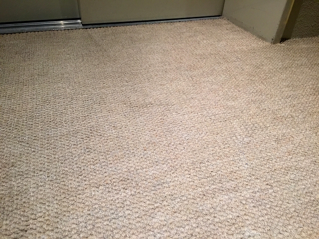 ガーデンコート世田谷赤堤　内廊下