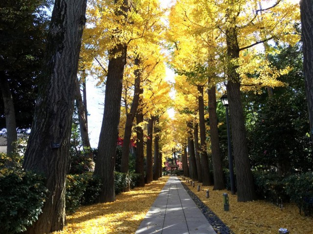 荻窪武蔵野マンション　周辺環境