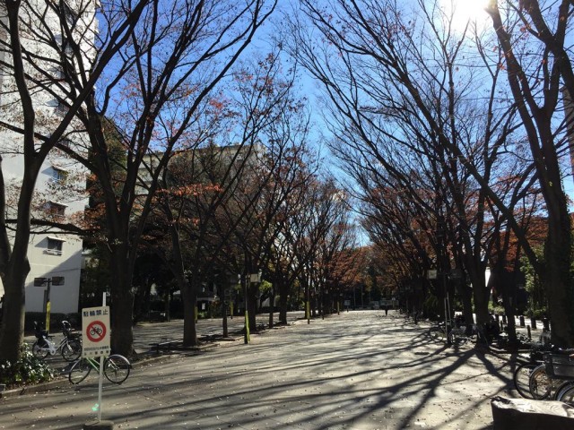 弦巻ハイツ　周辺環境