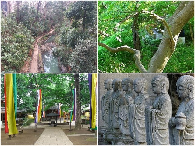 コートハウス上野毛　周辺環境