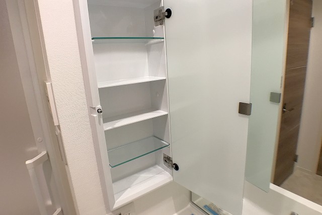 ラフィネ東銀座 洗面