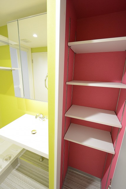 メガロン大井町 洗面