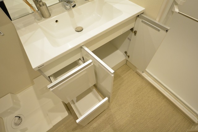 ライオンズマンション小石川植物園 洗面室