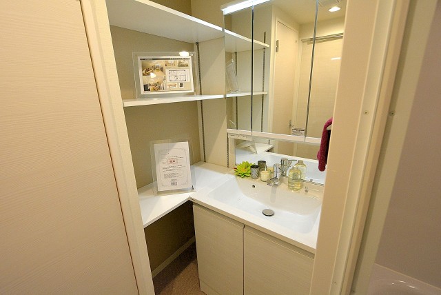 ライオンズマンション上北沢502号室 洗面 (2)