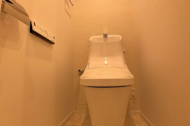 ラフィネ東銀座 トイレ