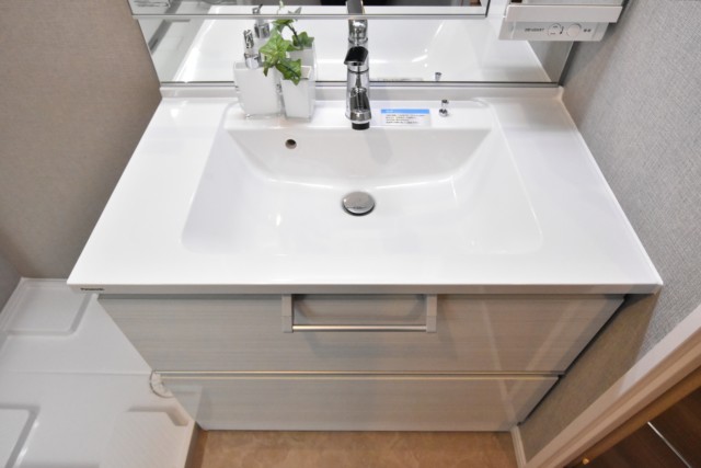 マイキャッスル大井町Ⅱ 洗面室