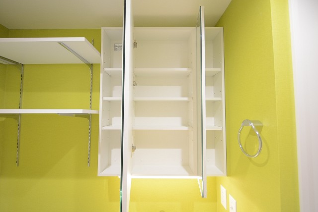 メガロン大井町 洗面