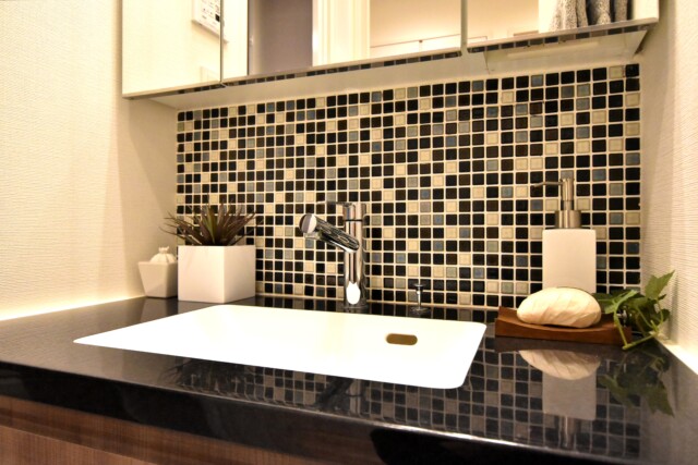 大井町ハイツ 洗面室