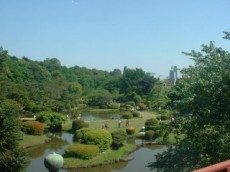 ライオンズマンション小石川植物園　周辺環境