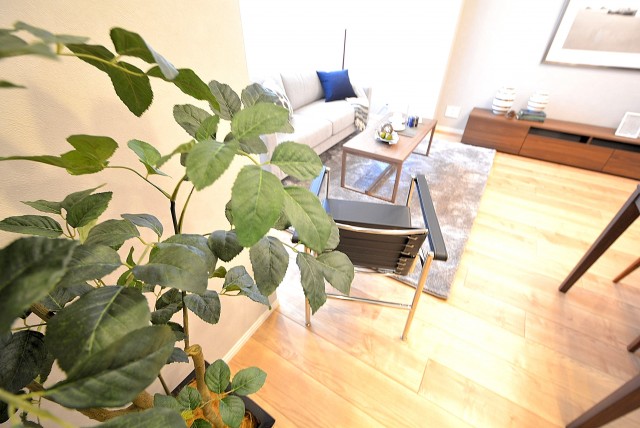 青山コーポラス LD