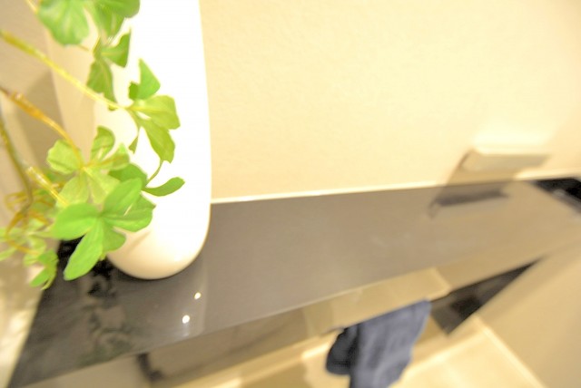 青山コーポラス トイレ