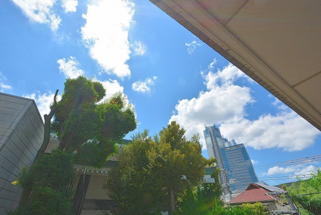 ワコーレ代々木Ⅱ (42)バルコニー