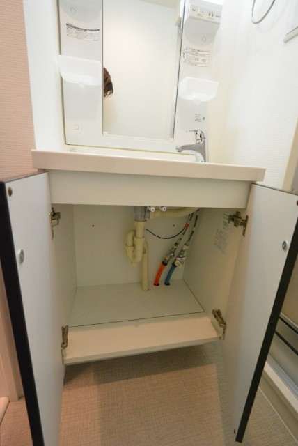 エントピア第一荻窪 脱衣所