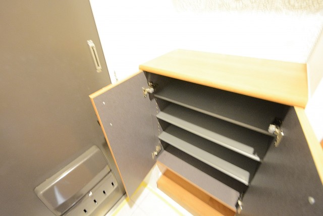 ワコーレ代々木Ⅱ 玄関