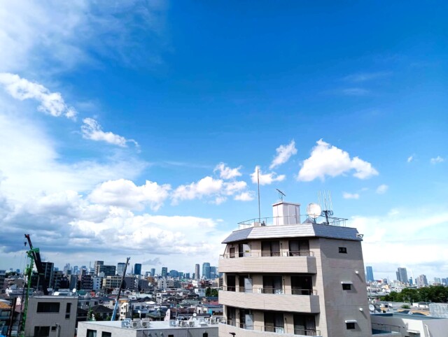 柿の木坂スカイマンション 眺望