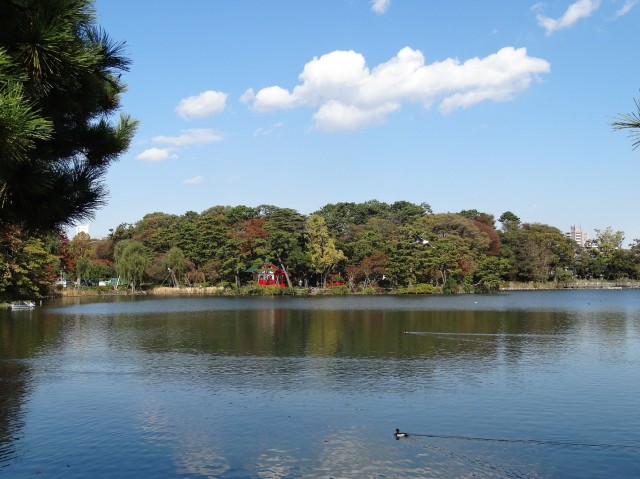 クレイシア北千束　洗足池