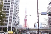 藤和シティスクエア三田ノースウィング　東京タワー