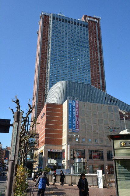 上馬フラワーホーム　キャロットタワー