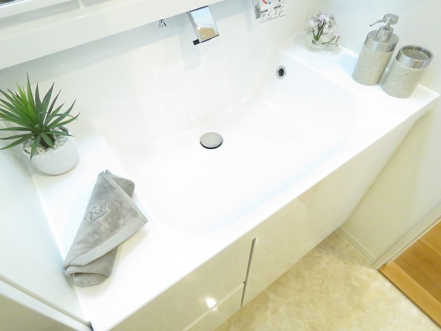 フォルスコート学芸大学　洗面ボウル