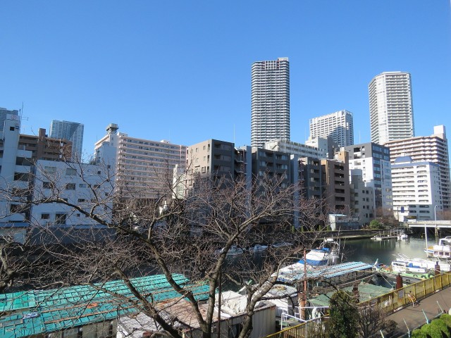 月島ローヤルコーポ　眺望