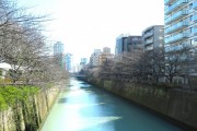 日生住宅目黒マンション　目黒川