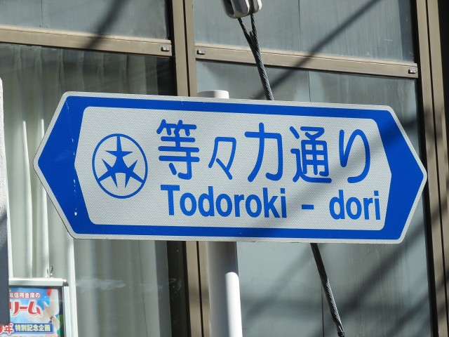 キクエイパレス上野毛　等々力通り