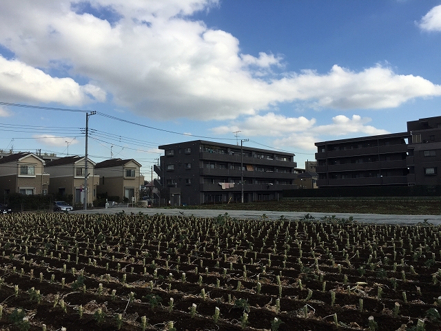 カルム二子玉川　周辺環境