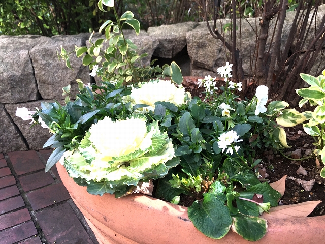 カルム二子玉川　周辺環境