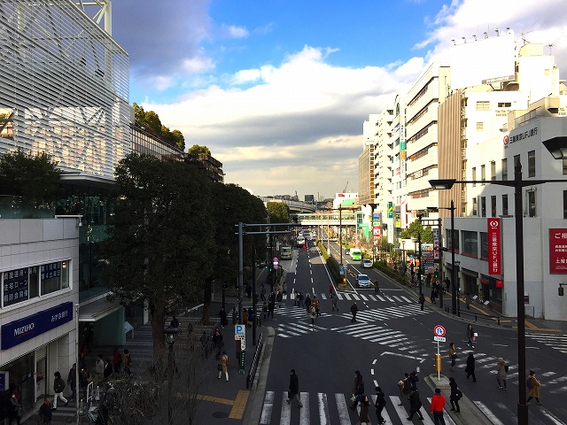カルム二子玉川　周辺環境