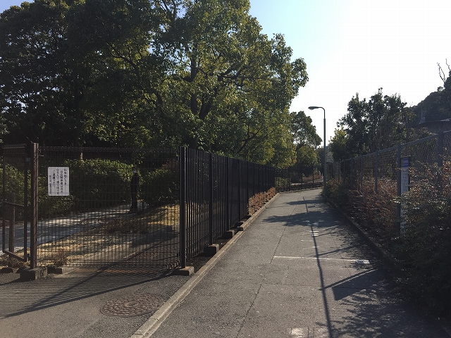 フラット田園調布　周辺環境