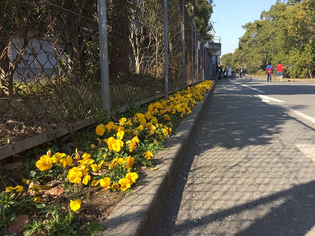 フラット田園調布　周辺環境