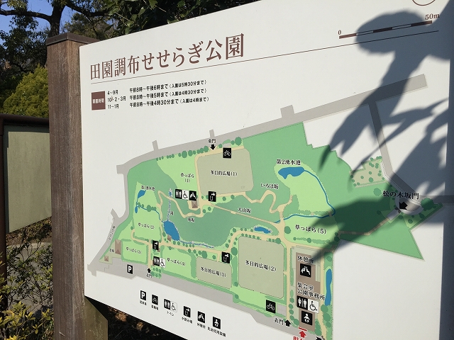 フラット田園調布　周辺環境