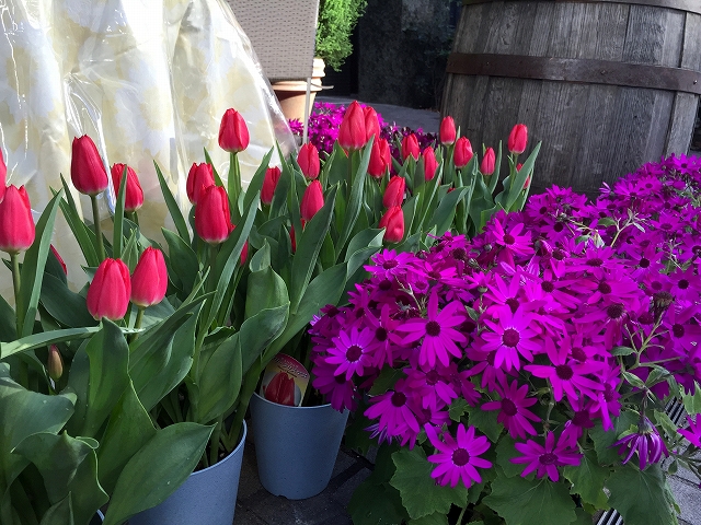 赤坂ハイツ　周辺環境