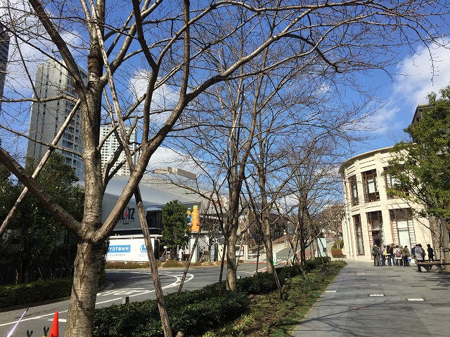 赤坂ハイツ　周辺環境