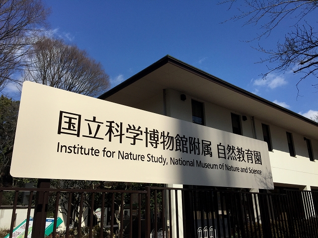 池田山ロイヤルマンション　周辺環境