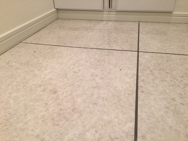 池田山ロイヤルマンション 玄関