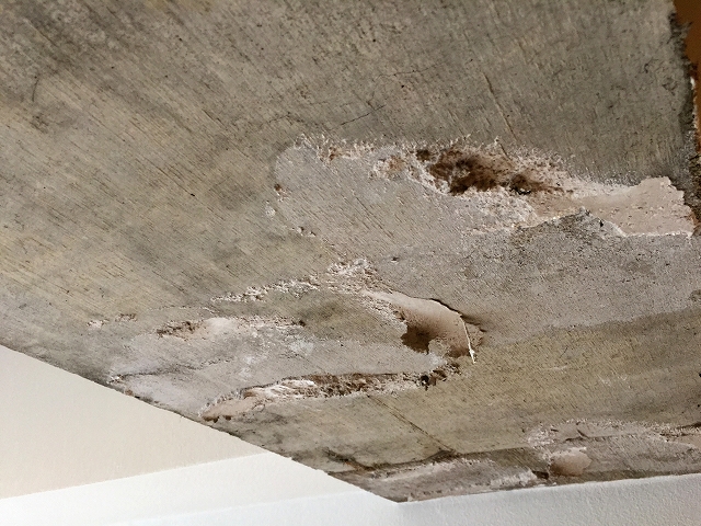 ストークメイジュ 天井