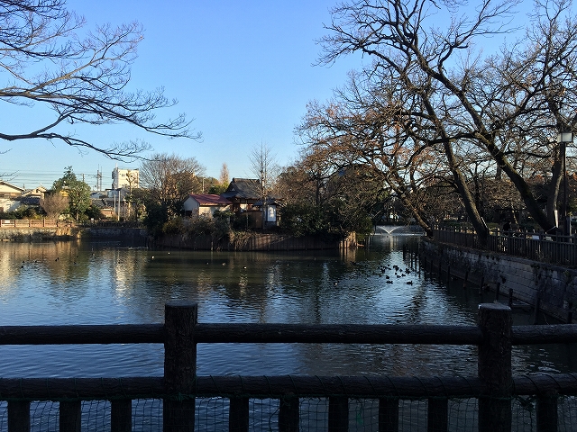 ライオンズマンション碑文谷第2　周辺環境