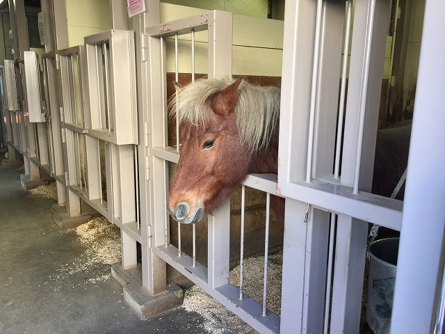 ライオンズマンション碑文谷第2　周辺環境