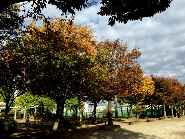 ライオンズマンション北新宿　周辺環境