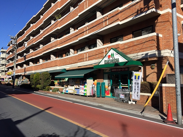 カルム二子玉川　周辺環境