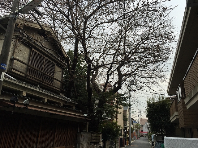 ライフルーデンス阿佐ケ谷　周辺環境