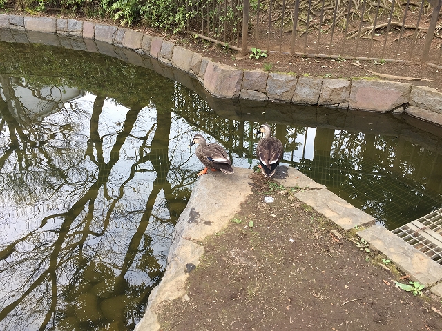 ライフルーデンス阿佐ケ谷　周辺環境