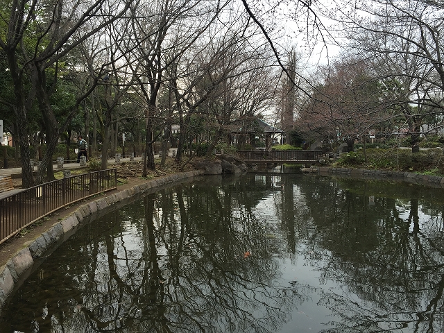 ライフルーデンス阿佐ケ谷　周辺環境