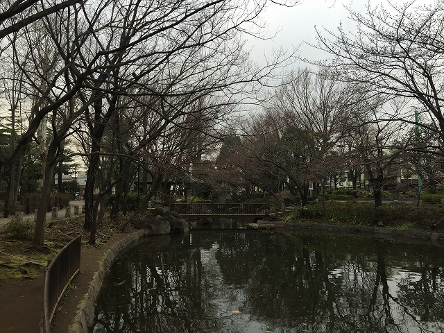 ライフルーデンス阿佐ケ谷　周辺環境