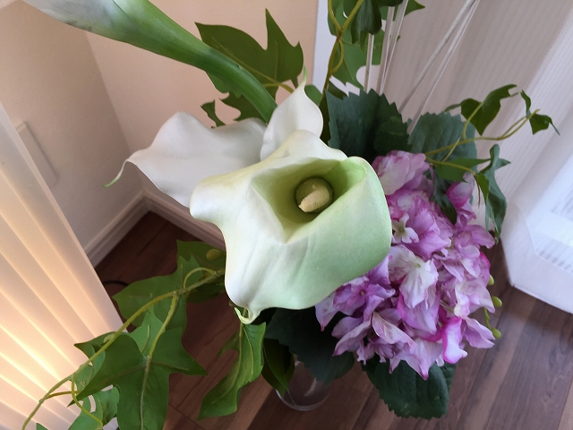 ライフルーデンス阿佐ケ谷　リビングダイニングキッチン