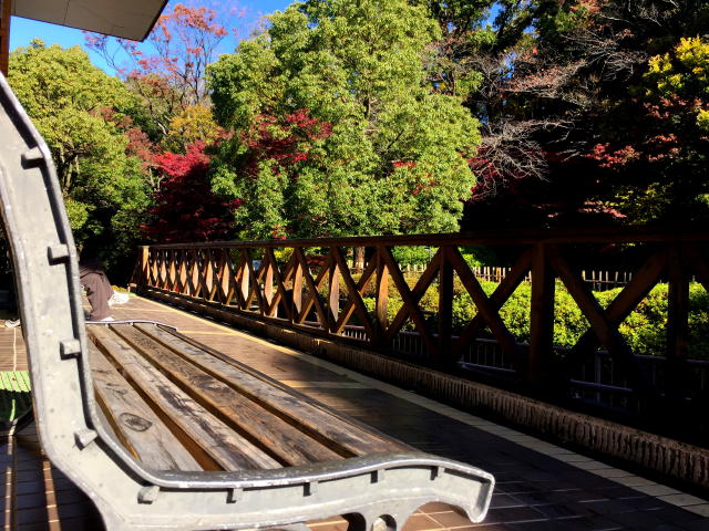 フラット田園調布　周辺環境